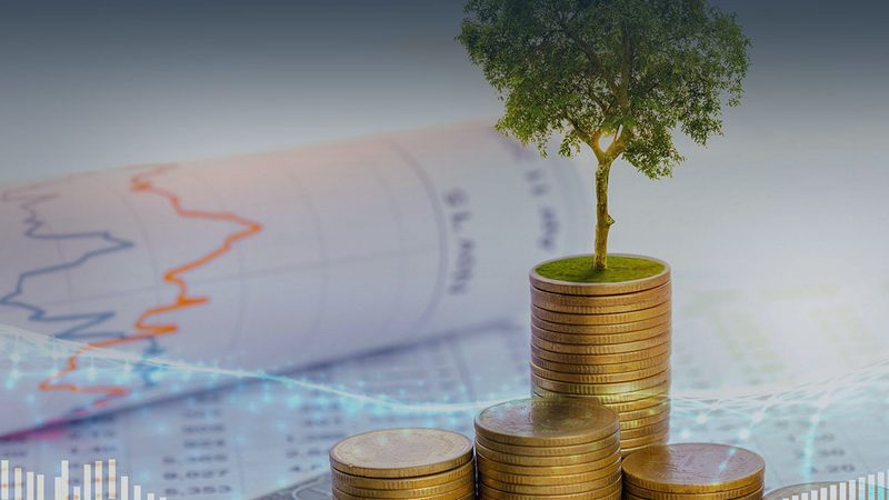 人力资源咨询公司如何选择？揭秘对比分析的要点