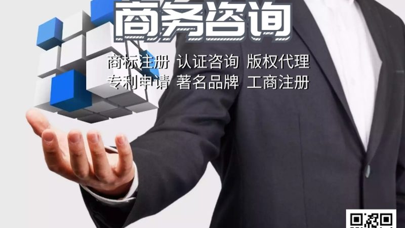 小型企业咨询与大型咨询公司：差异解析与选择要点