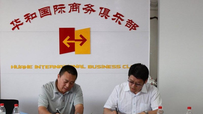 医疗健康战略咨询：揭秘十大品牌背后的战略解码之道